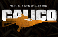project-pat-calico-young-buck