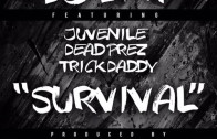 dj-efn-survival