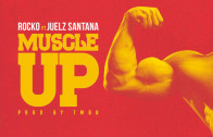 rocko-muscle-up