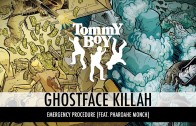 Ghostface Killah ft. Pharoahe Monch – Emergency Procedure